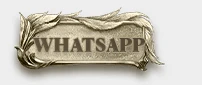 Zerion Online - 110 CAP | Egy Items | Haftalık $ Turnuvası | 210.000TL Ödül Havuzu