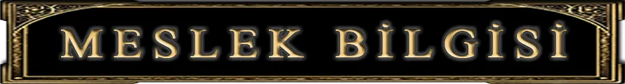 Beliar Online - 110 CAP | PvP | 11 DG | Coin Sistemi | 1 Gold NPC